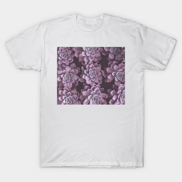 Succulent dreams T-Shirt by RoseAesthetic